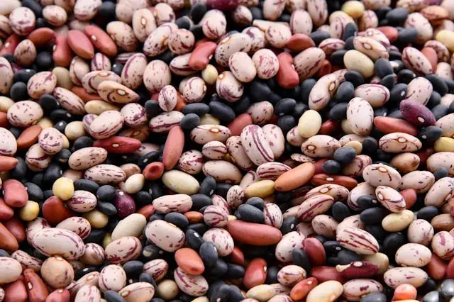 Pulses & Legumes